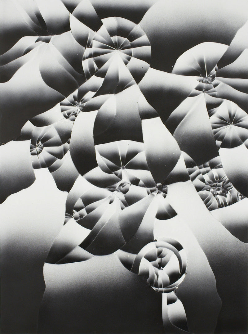 Tauba Auerbach Jigsaw Puzzle