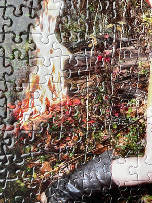 Artist Mark Seidenfeld Collector Edition Jigsaw Puzzle