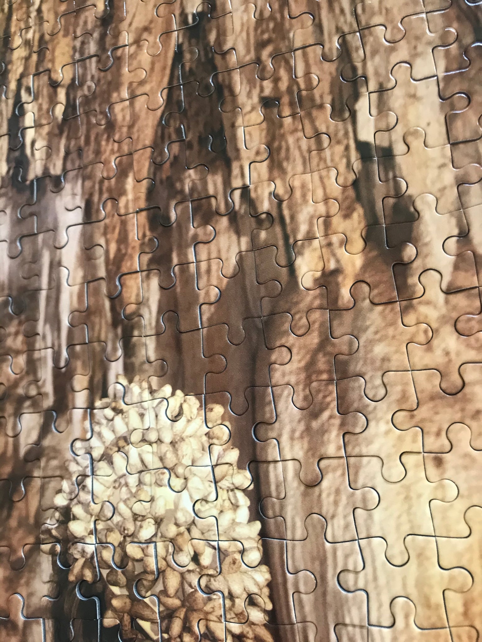 Artist Fritzia Irízar Collector Edition Jigsaw Puzzle
