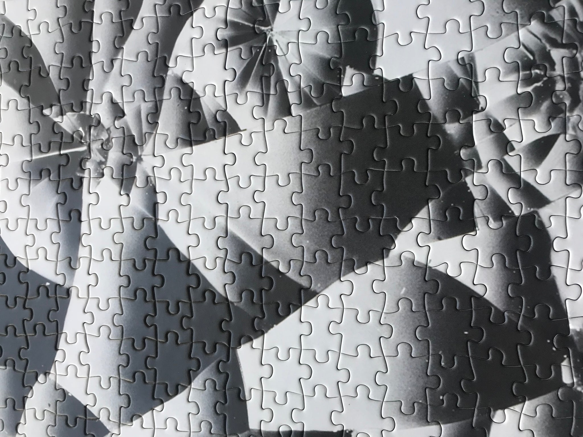 Artist Tauba Auerbach Puzzle: Unlimited Collector Edition Jigsaw Puzzle