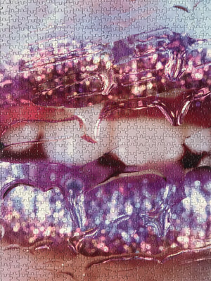 Artist Marilyn Minter: Unlimited Collector Edition Jigsaw Puzzle