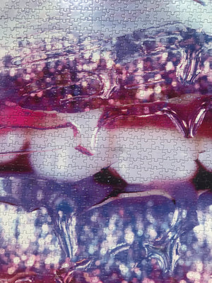 Artist Marilyn Minter: Unlimited Collector Edition Jigsaw Puzzle