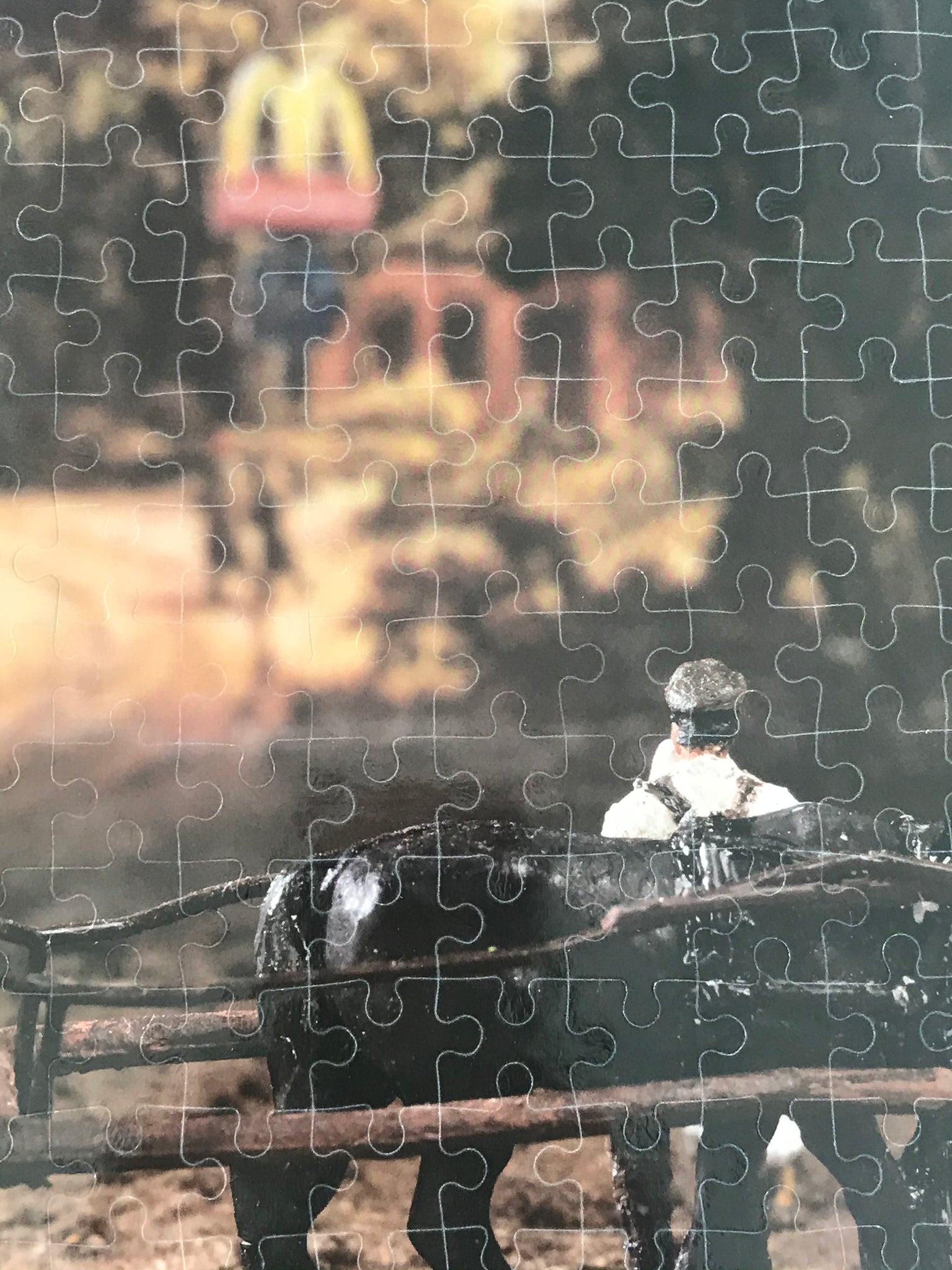Artist Curtis Talwst Santiago Collector Edition Jigsaw Puzzle