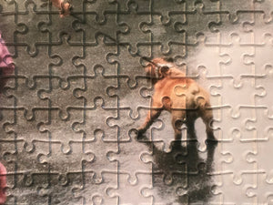 Artist Robert Farber Collector Edition Jigsaw Puzzle X Women's Alzheimer's Movement