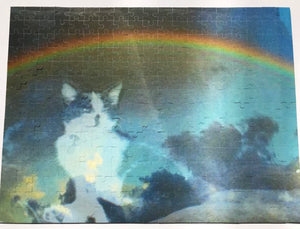 Artists Adrian Wong Collector Edition Jigsaw Puzzle