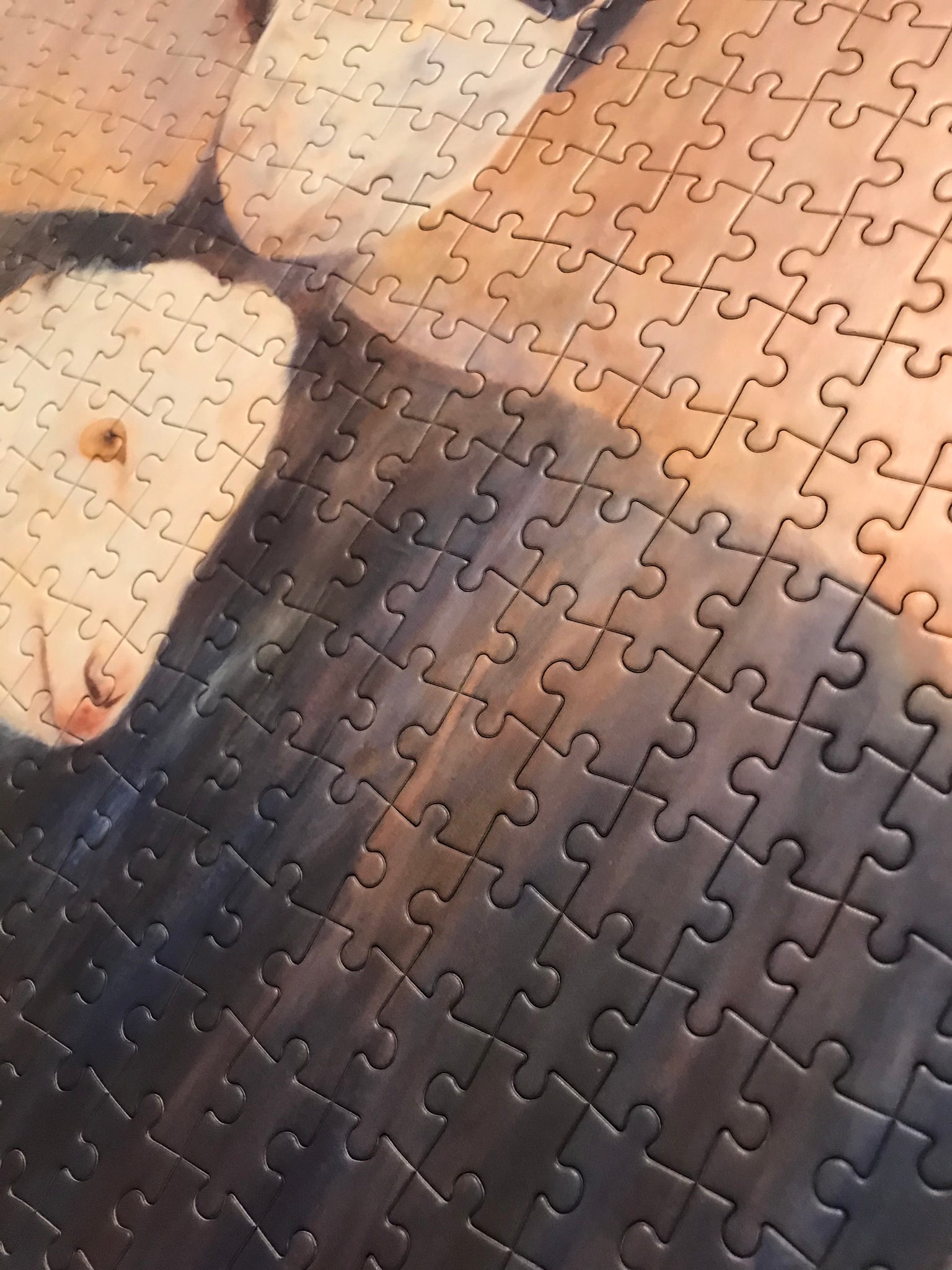 Artist Kharis Kennedy Collector Edition Jigsaw Puzzle