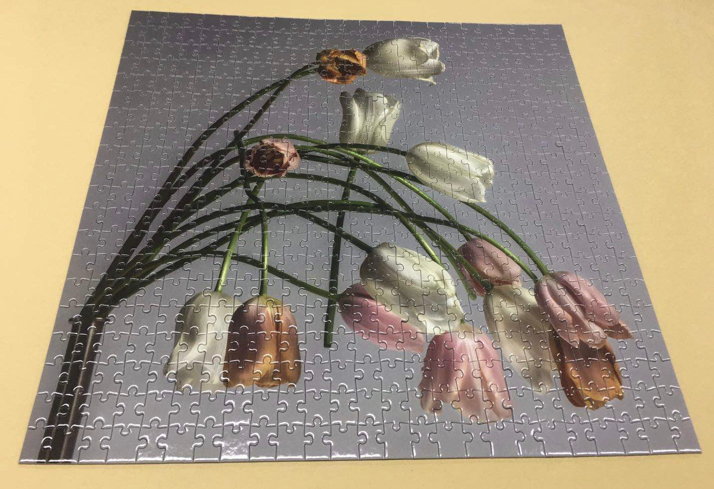 Artist Paul Solberg Collector Edition Jigsaw Puzzle