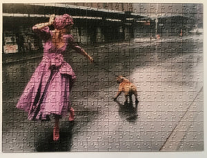 Artist Robert Farber Collector Edition Jigsaw Puzzle X Women's Alzheimer's Movement