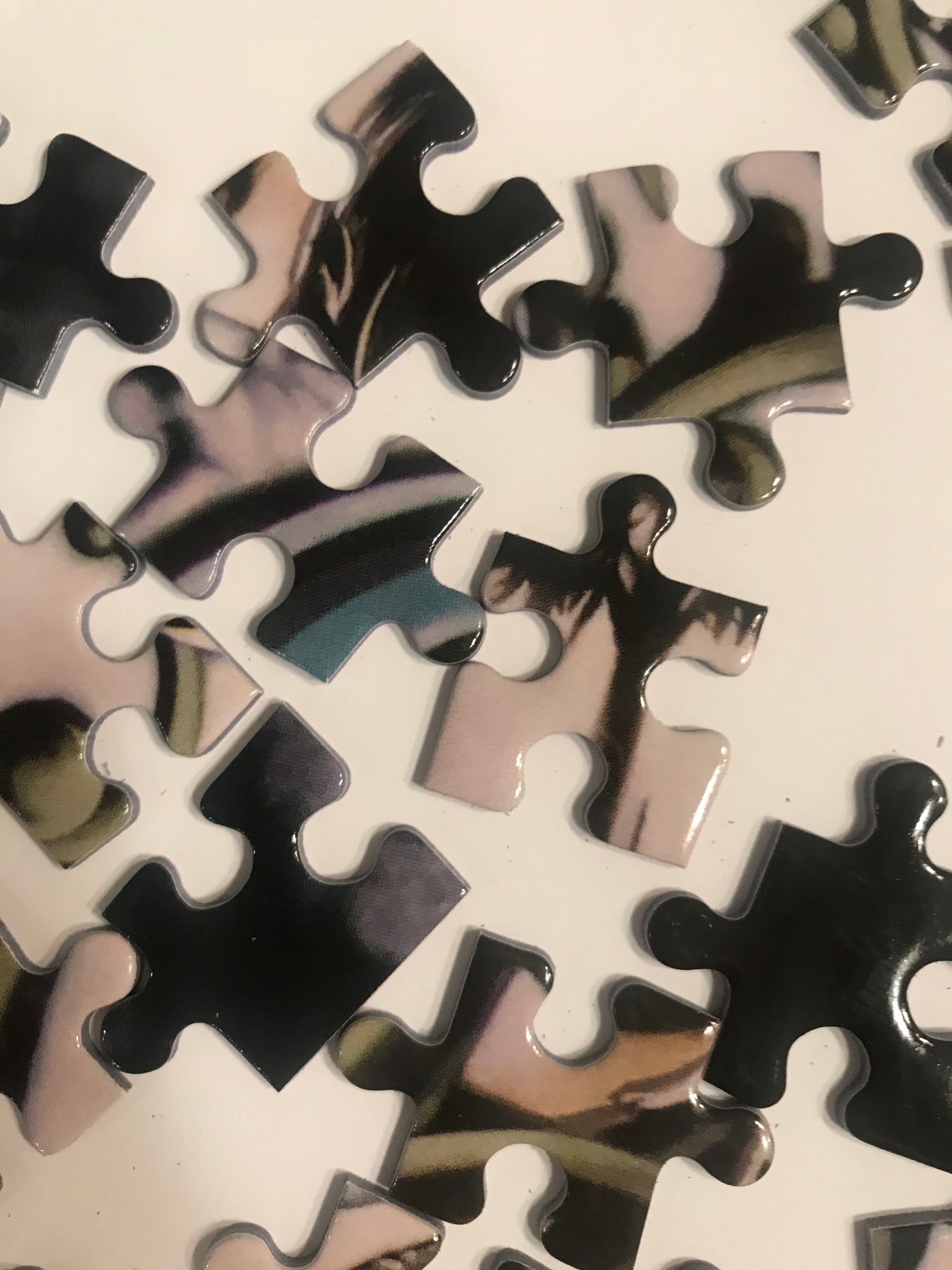 Artist Enrique García Lozano Collector Edition Jigsaw Puzzle