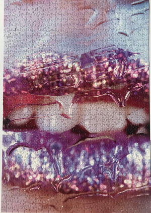 Artist Marilyn Minter: Unlimited Collector Edition Jigsaw Puzzle