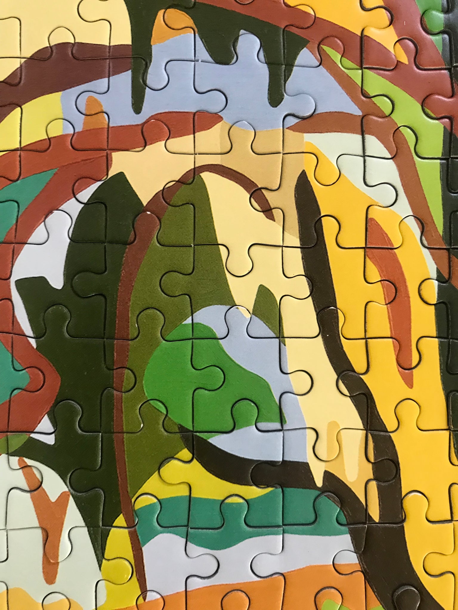 Artist Tessa Perutz Collector Edition Jigsaw Puzzle X Verbier 3-D Foundation