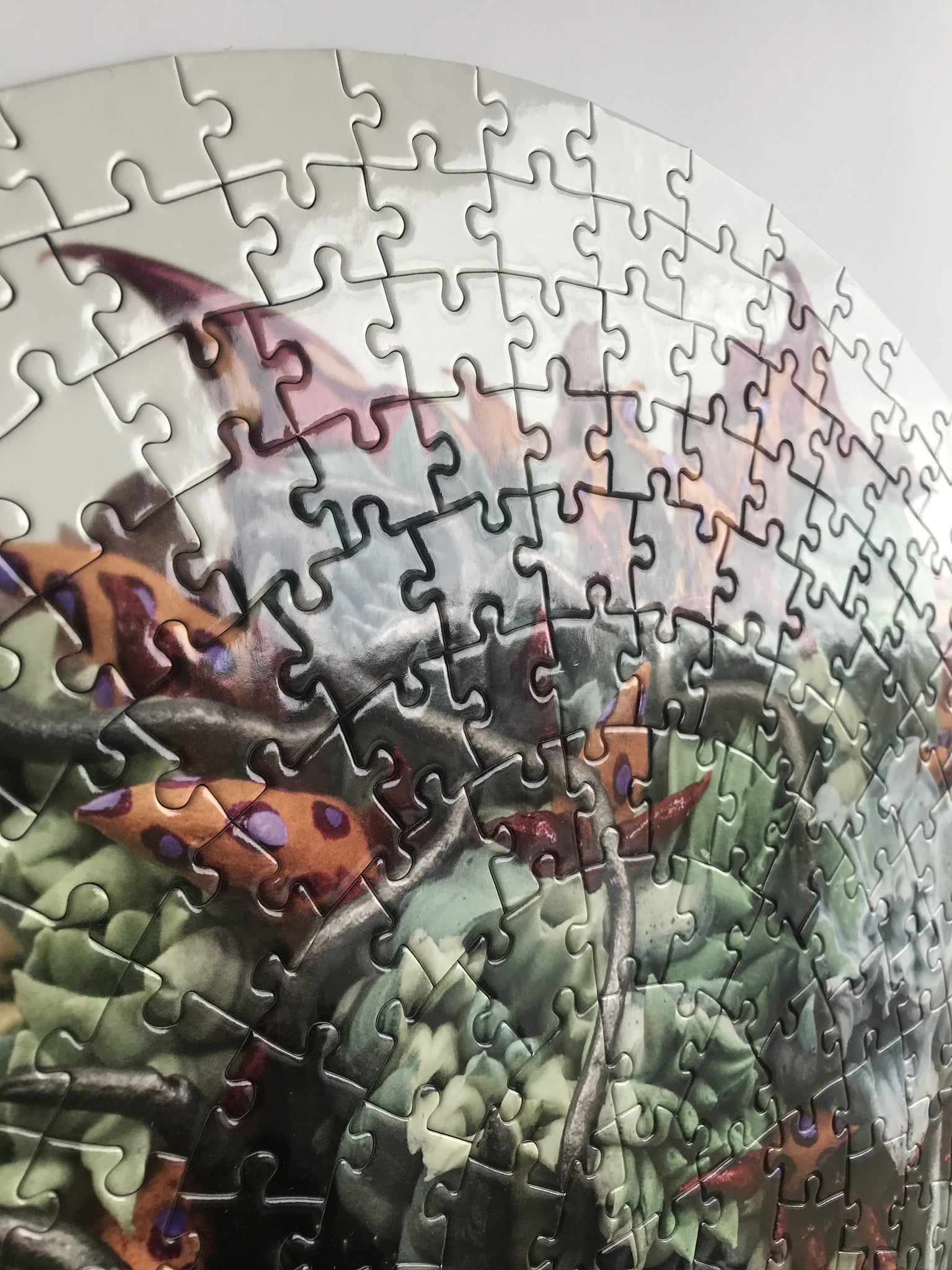 Artist Seren Morey Collector Edition Jigsaw Puzzle