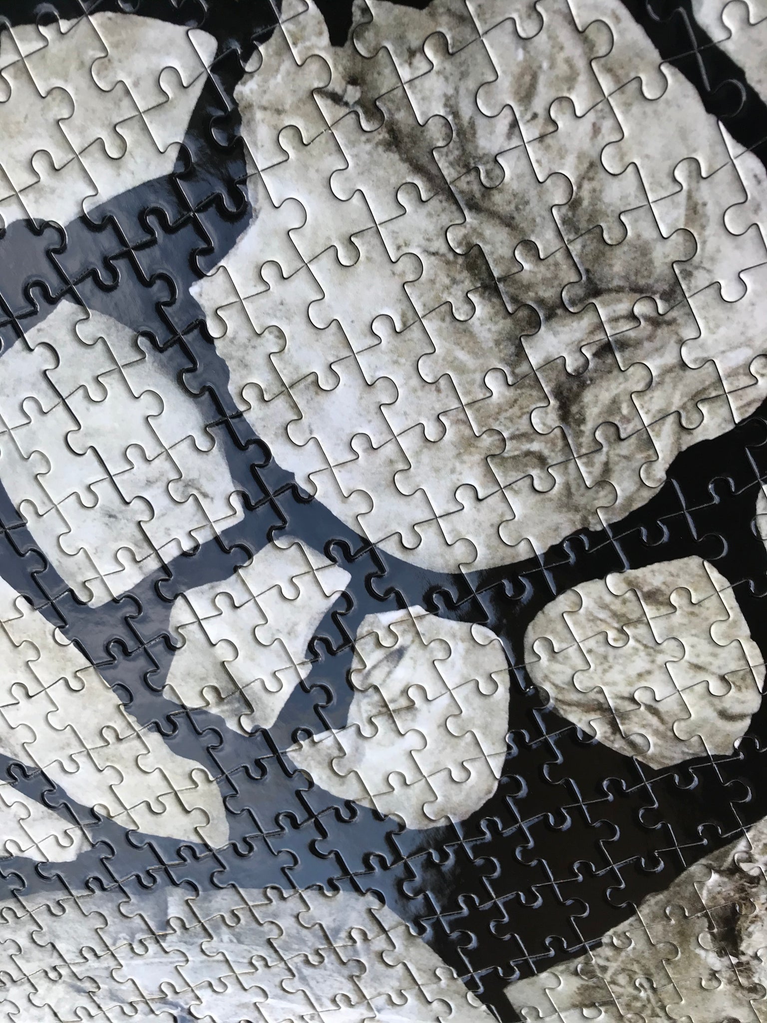 Artist Cynthia Gutiérrez Collector Edition Jigsaw Puzzle