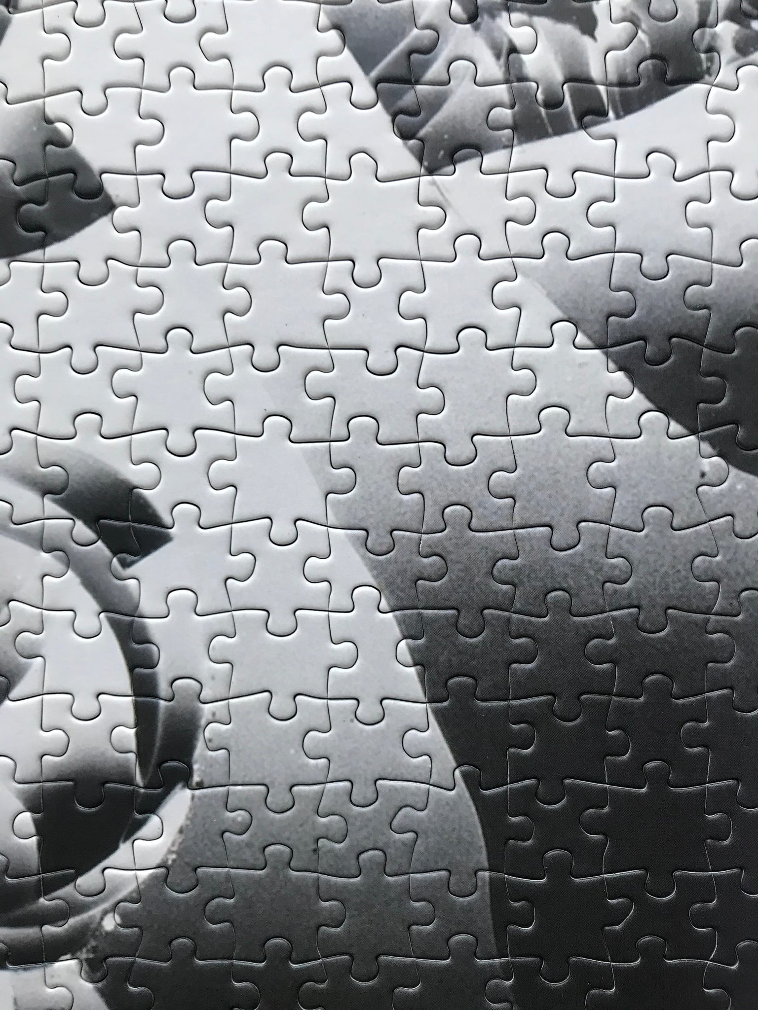 Artist Tauba Auerbach Puzzle: Unlimited Collector Edition Jigsaw Puzzle
