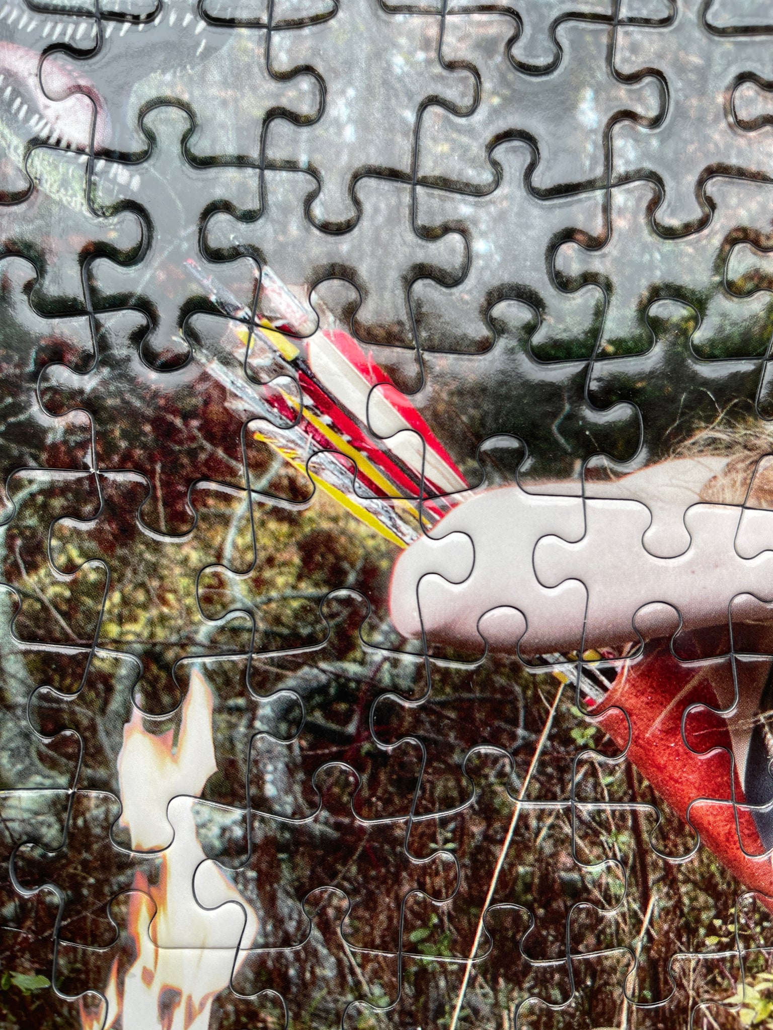 Artist Mark Seidenfeld Collector Edition Jigsaw Puzzle