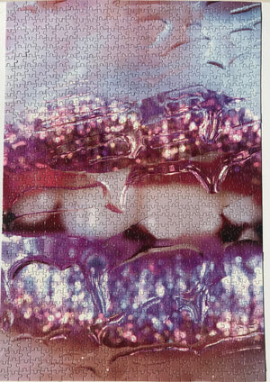 Artist Marilyn Minter: Unlimited Collector Edition Jigsaw Puzzle