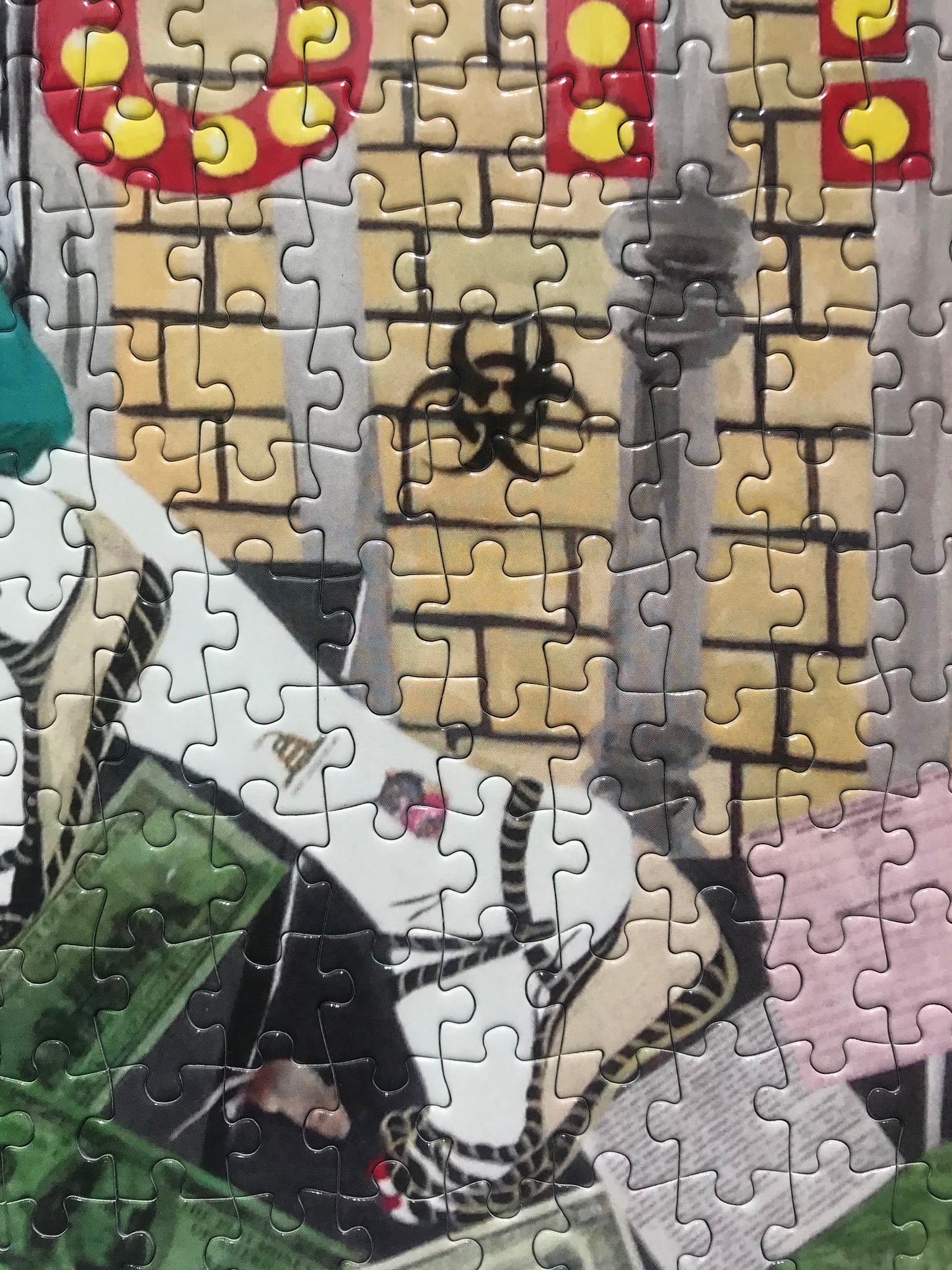 Artist Kathe Burkhart Collector Edition Jigsaw Puzzle