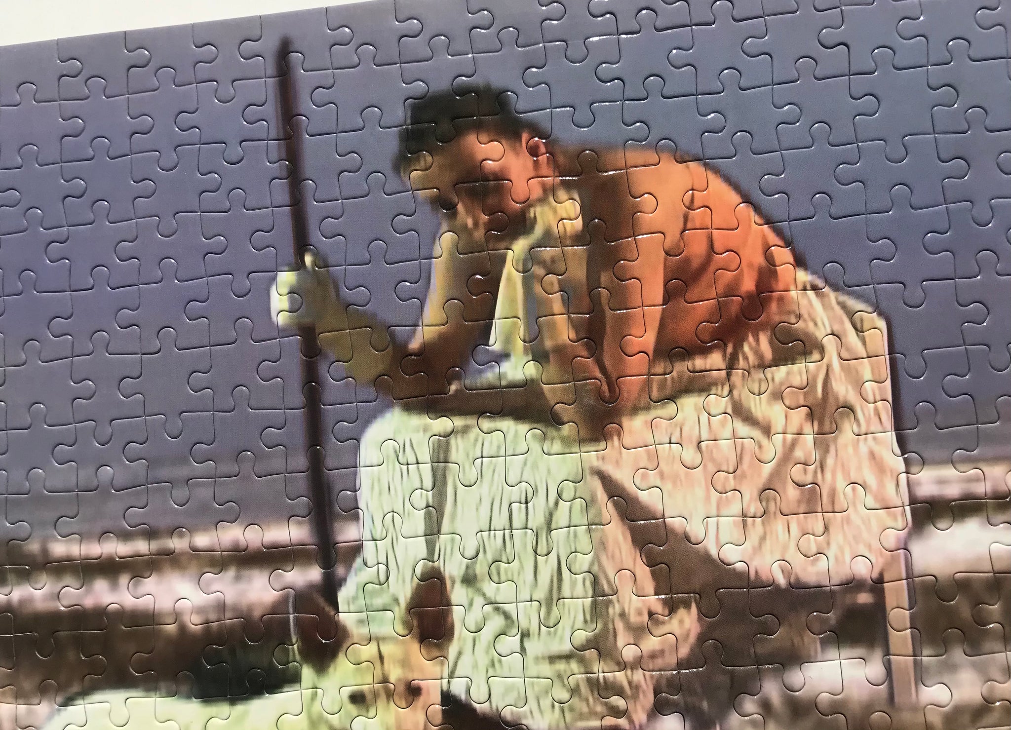 Artist Joan Jonas Collector Edition Jigsaw Puzzle