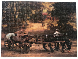 Artist Curtis Talwst Santiago Collector Edition Jigsaw Puzzle