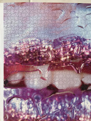 Artist Marilyn Minter: Unlimited Collector Edition Jigsaw Puzzle