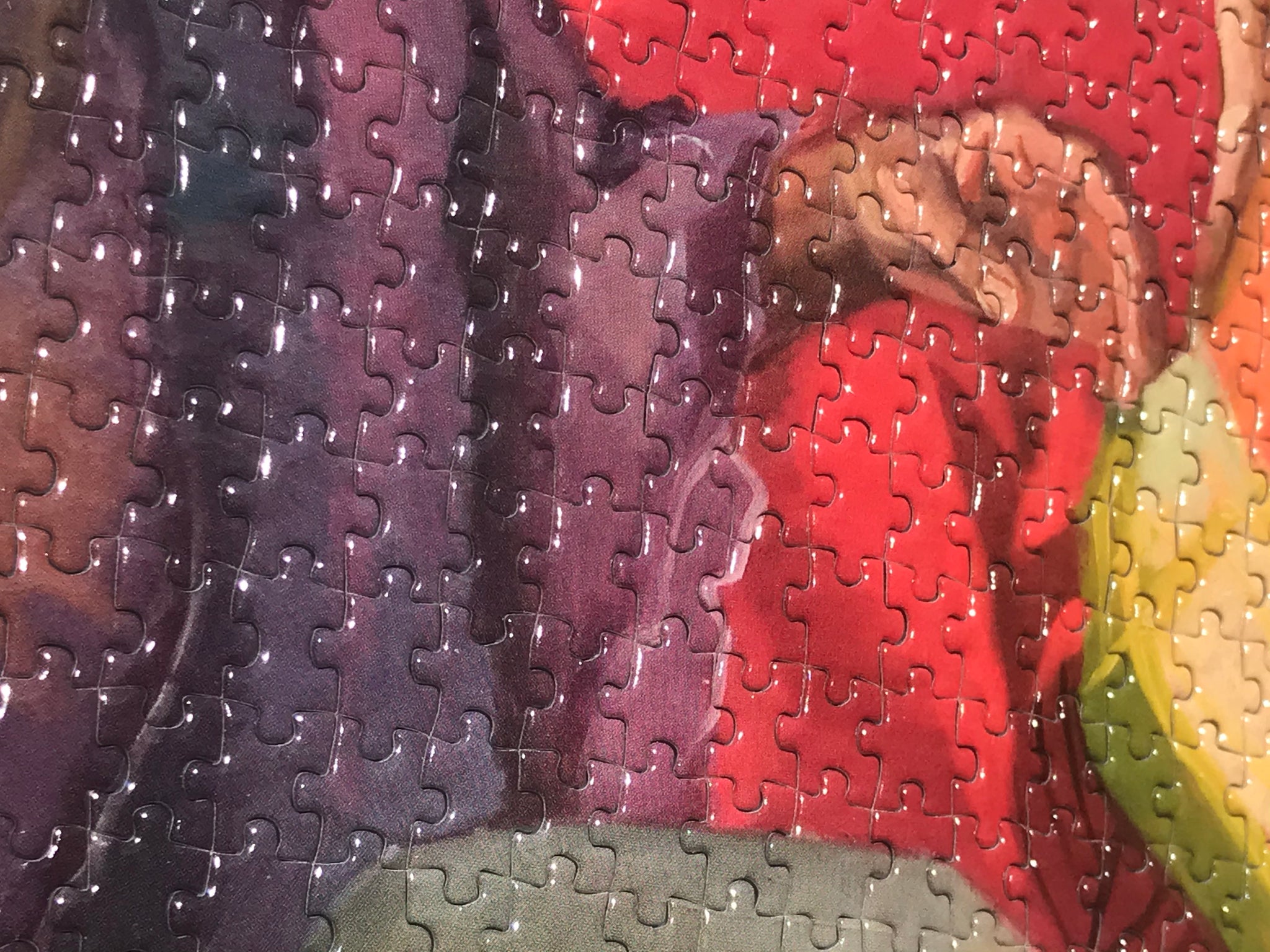 Artist Sylvia Maier Collector Edition Jigsaw Puzzle